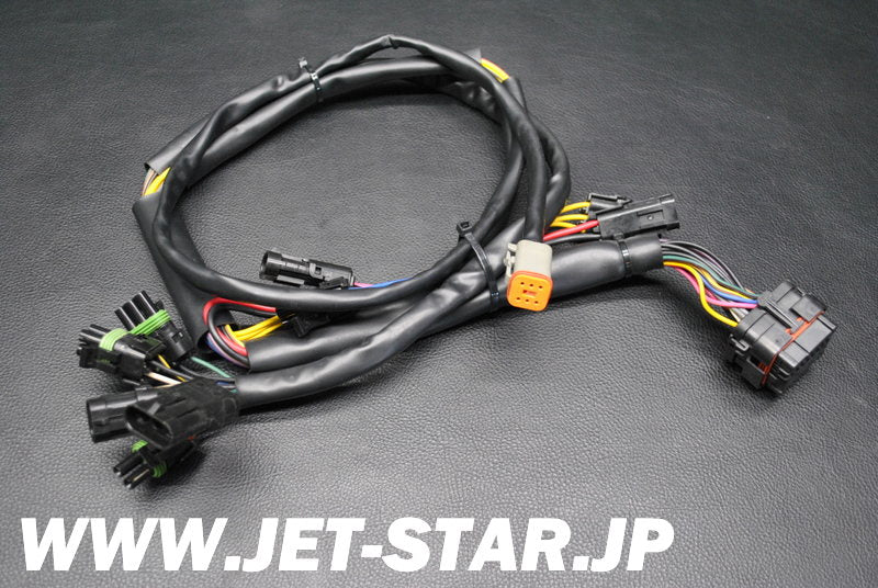 Used 278001510 REAR HARNESS [S713-023]