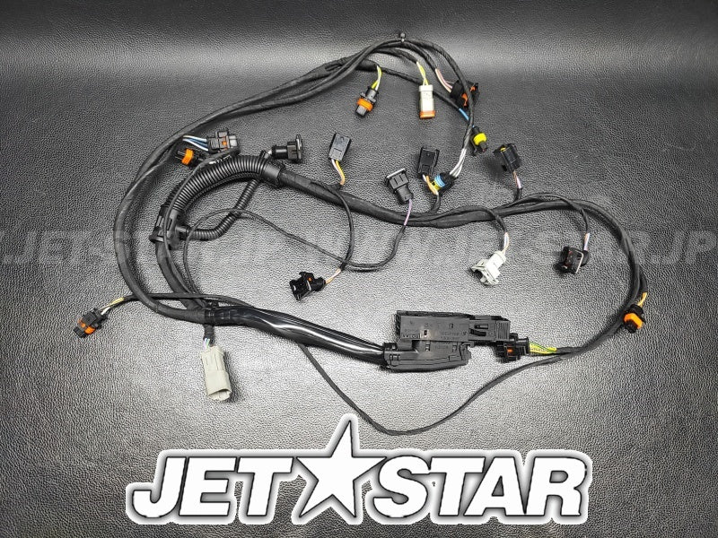 Used 420664056 WIRING HARNESS ASS'Y [S7142-19]