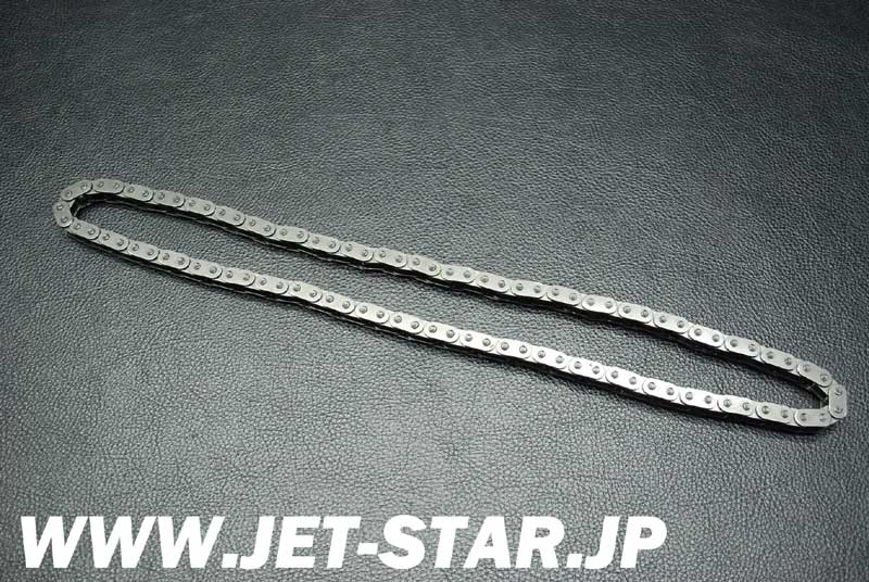 Used 420898042 CAMSHAFT CHAIN [S721-097]