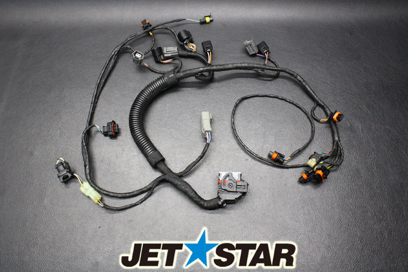 Used 420864220 ENGINE WIRING HARNESS ASS'Y [S811-054]