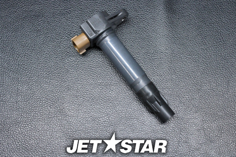 Used 420666142 IGNITION COIL [S9090-22]