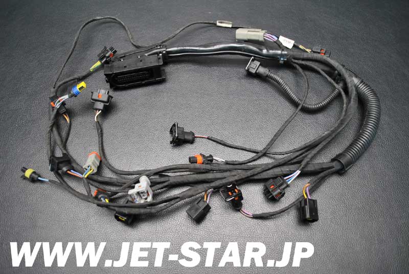 Used 420664056 WIRING HARNESS ASS'Y [S949-082]