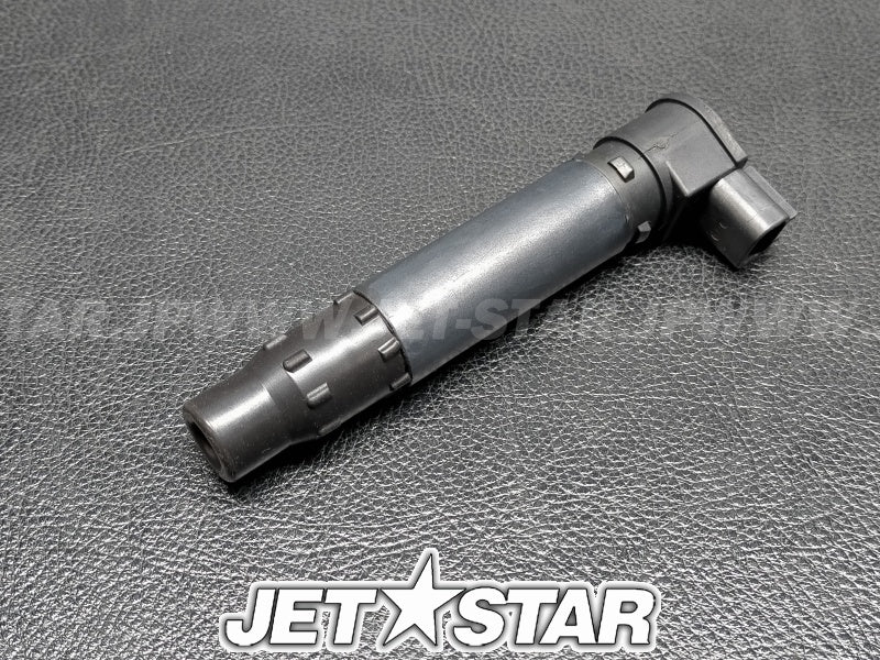Used 420664020 IGNITION COIL [S9494-12]