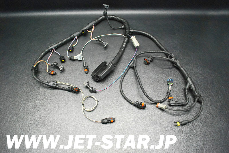 Used 420664056 WIRING HARNESS ASS'Y [S992-069]