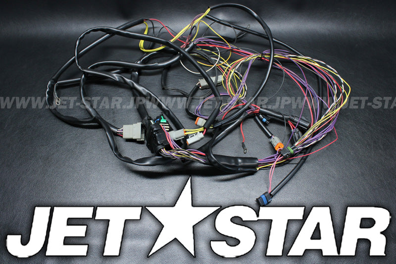 Used 204470811 ENGINE HARNESS [X2205-46]