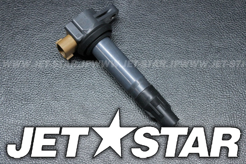 Used 420666142 IGNITION COIL [X2207-29]