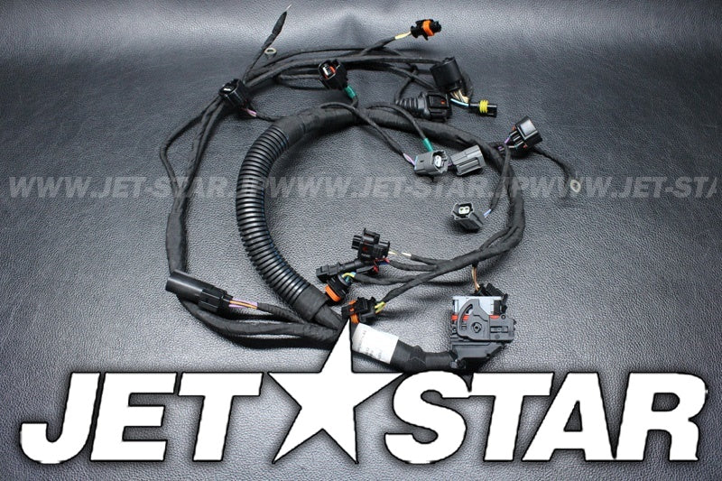 Used 420964082 ENGINE WIRING HARNESS ASS'Y [X2207-42]