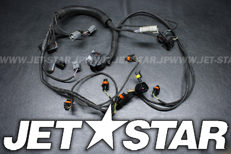 Used 420665206 ENGINE WIRING HARNESS ASS'Y [X2212-28]