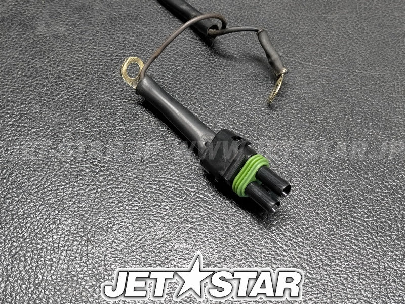 Used 204050286 REAR HARNESS [X2306-40]