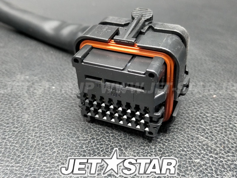 Used 204050286 REAR HARNESS [X2306-40]