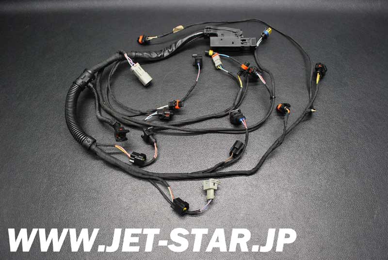 Used 420664056 WIRING HARNESS ASS'Y [X805-077]