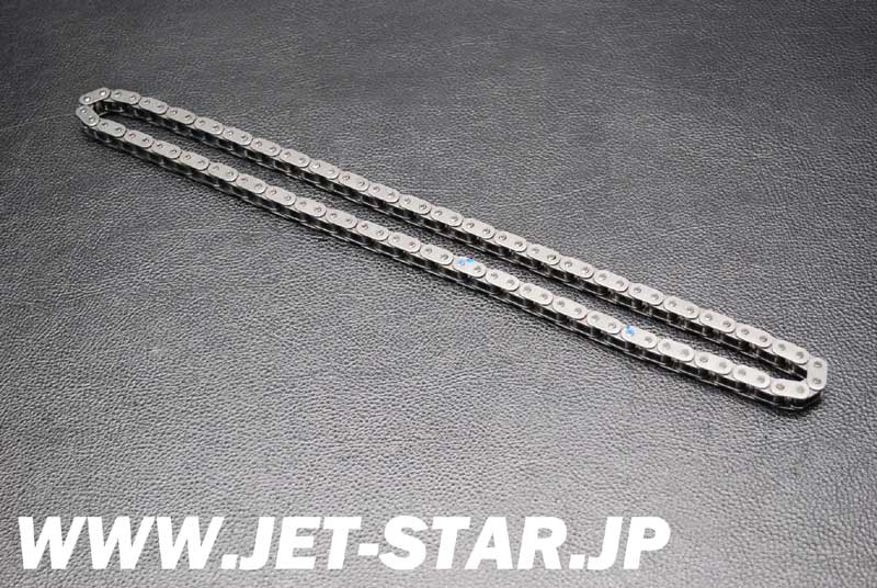 Used 420898042 CAMSHAFT CHAIN [X806-140]