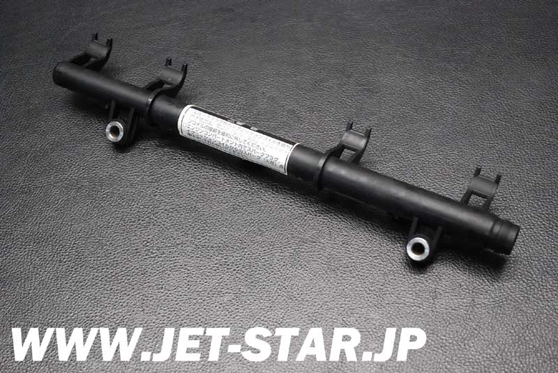 Used 420874393 FUEL RAIL ASS'Y [X806-226]