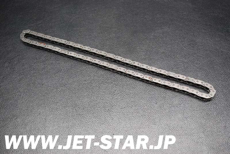 Used 420898042 CAMSHAFT CHAIN [X806-315]