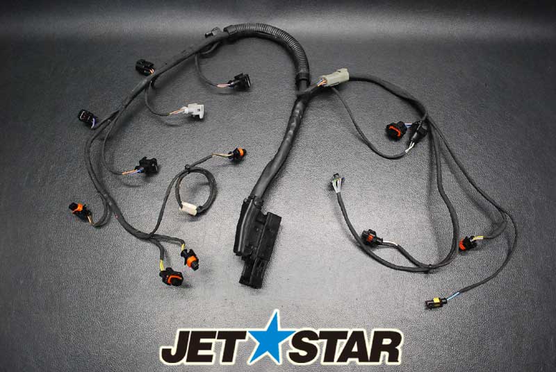 Used 420665205 ENGINE WIRING HARNESS ASS'Y [X910-072]