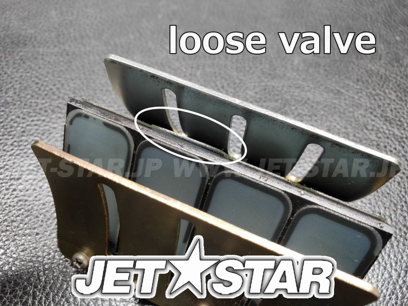 Used 65U-13610-00-00 REED VALVE ASSY [Y4424-20]